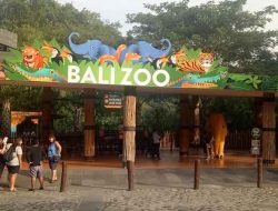 Bali Zoo Park – Lokasi dan harga tiket masuk terbaru