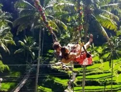Wisata Ayunan Hits di Bali – Spot instagramable di bali