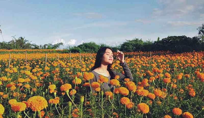 Gemitir Garden Bali, Taman Bunga Marigold yang Instagramable di Bali