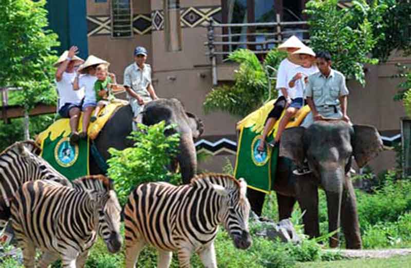 Bali Safari and Marine Park - Serunya liburan bersama keluarga