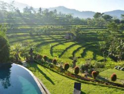Tebola Sidemen Village – A Tourist Village With Beautiful Rice Fields
