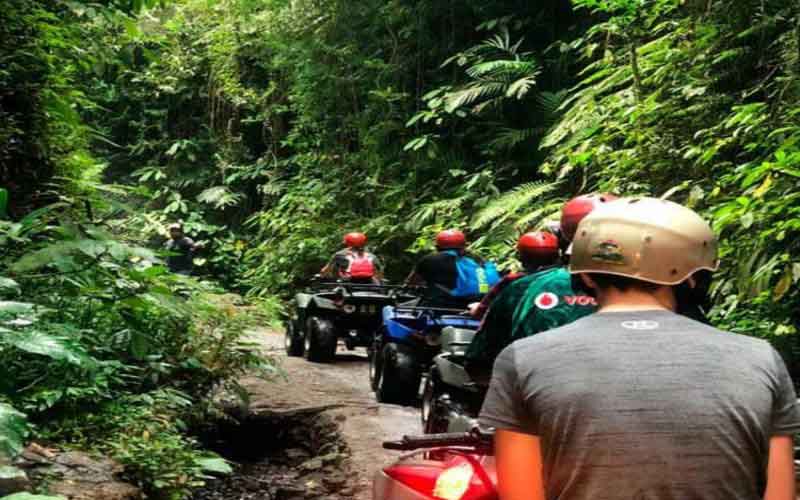 ATV Through Jungle