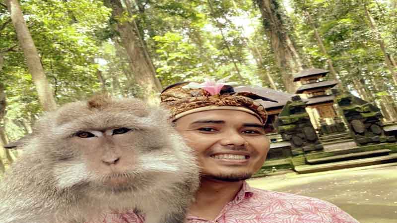 Objek Wisata Sangeh Monkey Forest Bali – Lokasi dan Harga Tiket Masuk