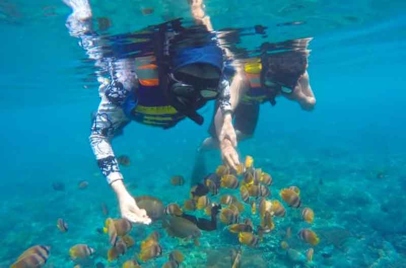 Snorkeling Gamat Bay Nusa Penida