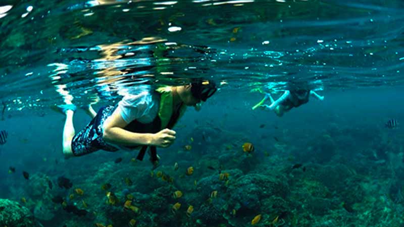 Snorkeling di Crystal Bay Nusa Penida