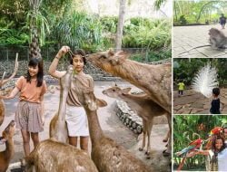 Tempat Wisata di Ubud untuk Anak