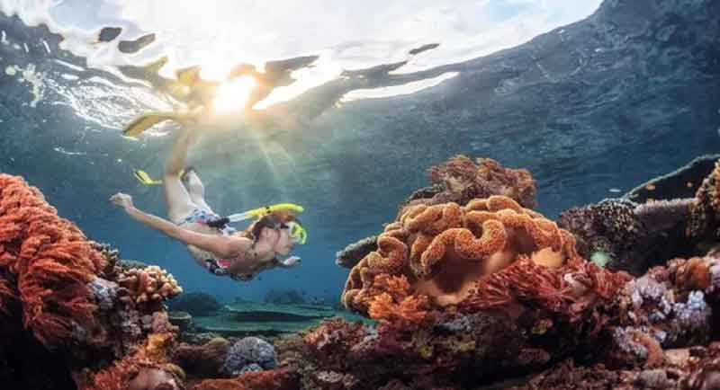 Spot Diving dan Snorkling di Karangasem Bali