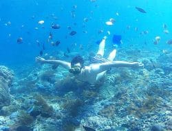 Wall Point Nusa Penida – Surga Snorkeling Tersembunyi di Bali